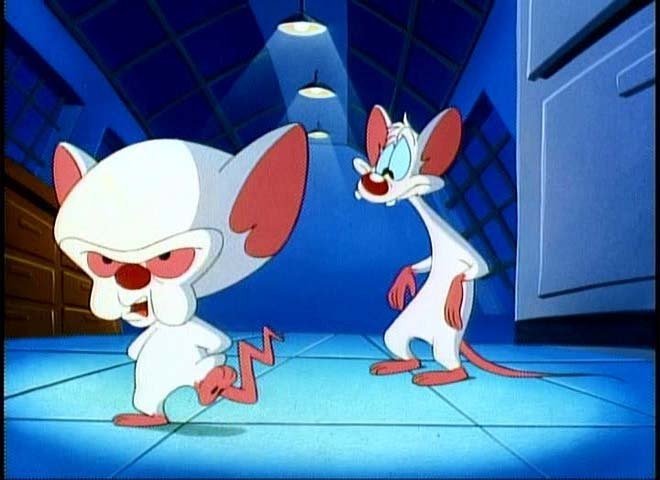 Pinky and the Brain