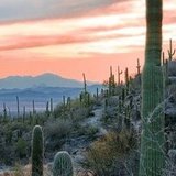 US Southwestern Regional Cuisine