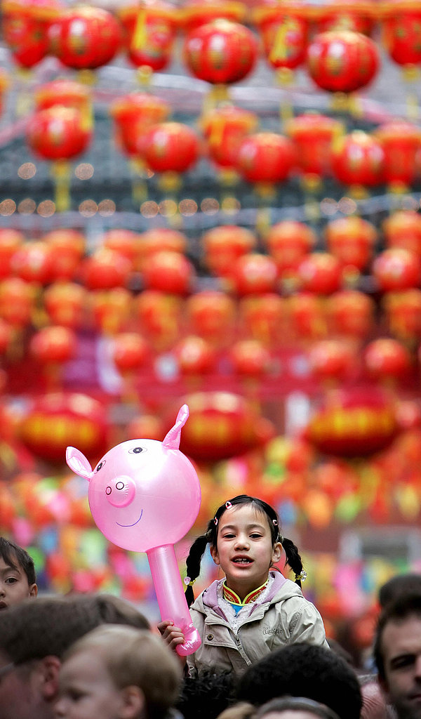 Year of the Pig