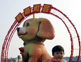 Year of the Dog