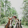 Romantic Elopement With Horses