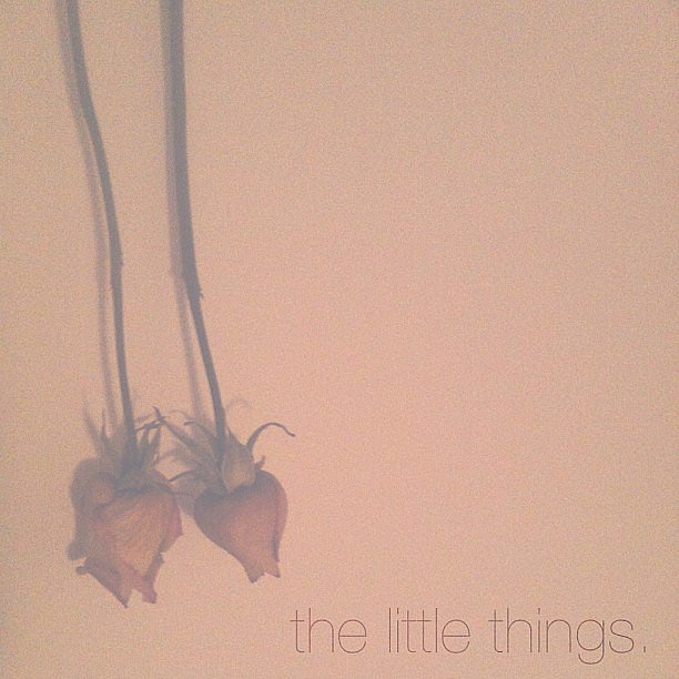 It's the little things that count, like dried roses. 
Source: Instagram user melbot1
