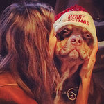 Celebrity Social Media Pictures of Christmas Weekend 2013