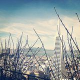 The view from the altar on the Mandarin Oriental San Francisco's 40th floor at The One.
