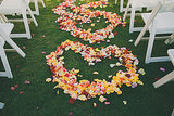 Rose Petal Ceremony Hearts