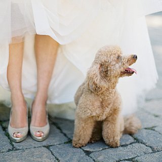 Wedding Moments to Capture on Film