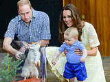 Prince George Spends Easter at Australian Zoo