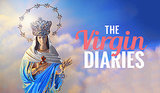 The Virgin Diaries: Just Another Victim of the Unicorn Effect