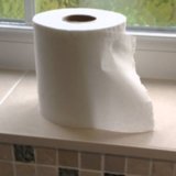 Dad Makes Video About How to Change the Toilet Paper Roll