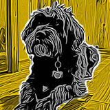 ToonPaint Drawing App For iPhone and Android