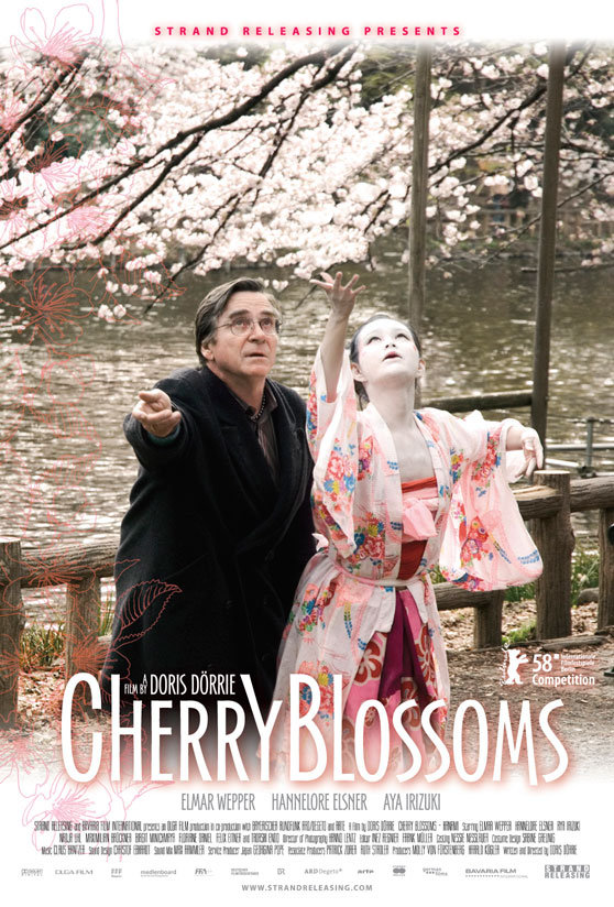 Cherry Blossoms