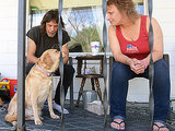 The Daily Treat: Dog Finds Abandoned Newborn on Porch