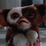 Gremlins 30th Anniversary Fun Facts | Video